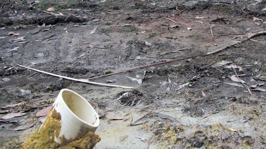 Environmentalists fear tasmanian devils will become trapped in uncapped mining drill holes in the Tarkine.