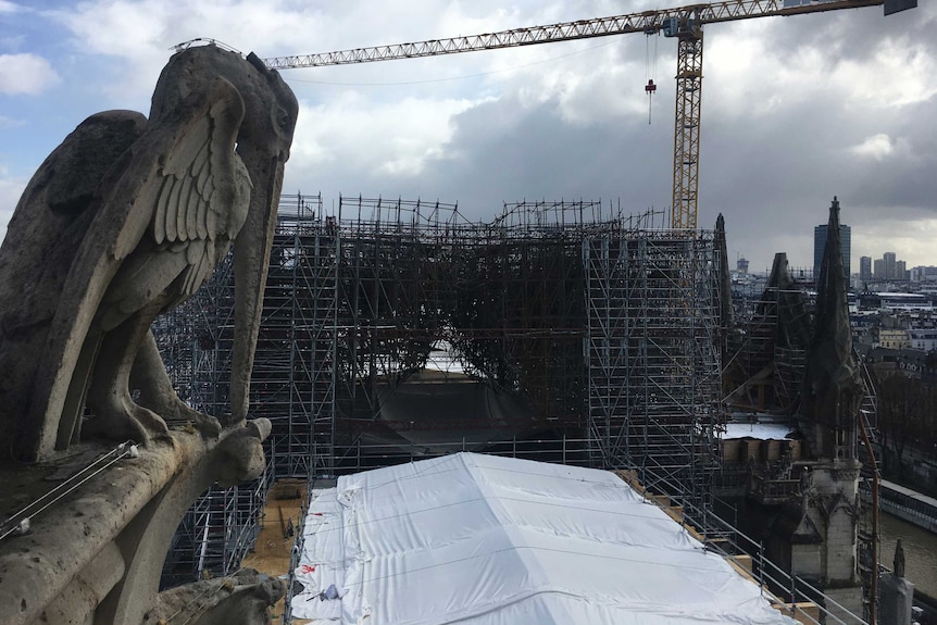 A long-beaked stone bird sits in the foreground of a shot of a white tarp covering the damaged roof of the Notre Dame Cathedral