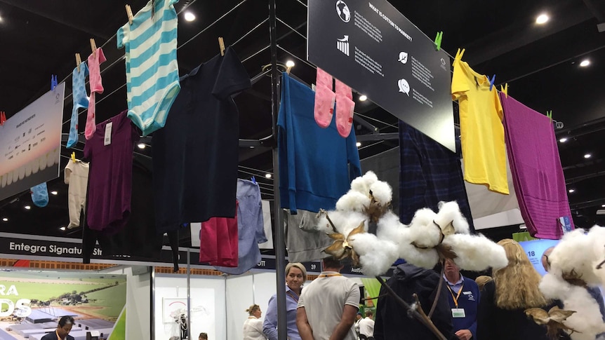 A Hill's Hoist style clothes line displays the 20 clothing brands made from 100 per cent Australian cotton.