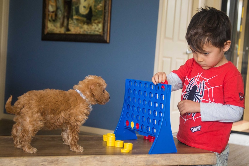Molly the dog plays a game with her big brother, Braxton