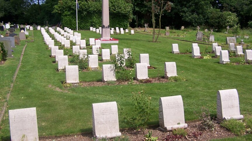 A cemetery surrounded by trees