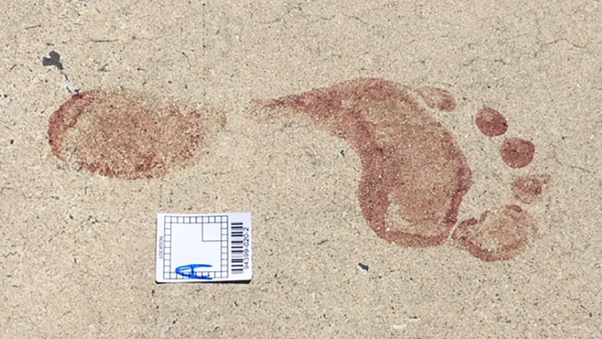 A bloody footprint on a concrete driveway