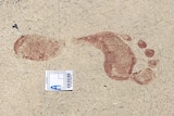 A bloody footprint on a concrete driveway