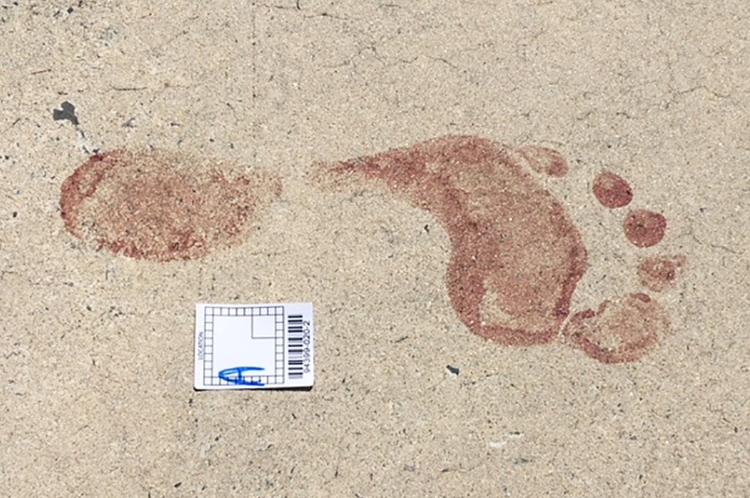 A bloody footprint on a concrete driveway