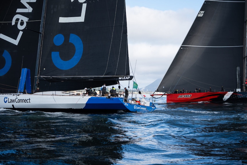LawConnect and Andoo Comanche racing to the finish line.
