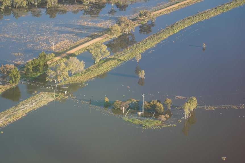 An aerial shot of a paddock filled with floodwater