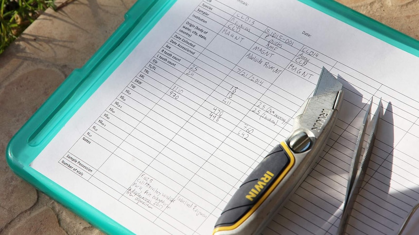 A photo of a stanley knife and some large tweezers on a clipboard with a data sheet on it.