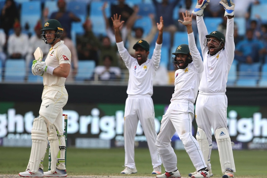 Pakistan appeals for the wicket of Tim Paine