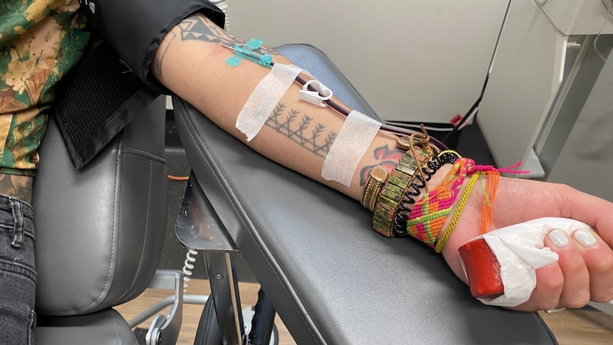 Plasma donation