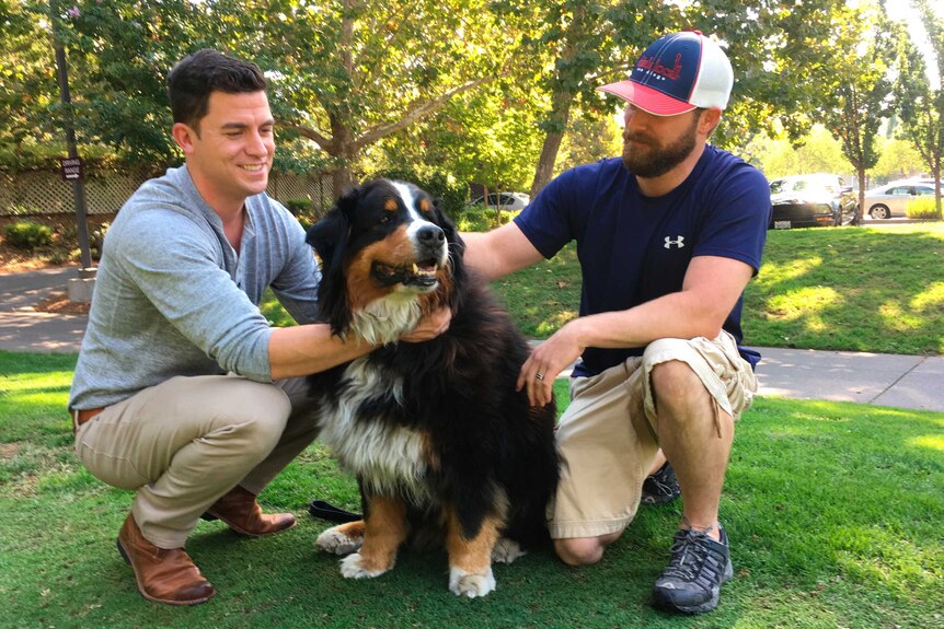 Two men look adoringly at their Bernese Mountain Dog, Izzy.