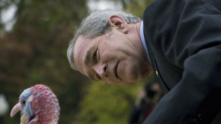 US President George W. Bush pets 'May' the turkey (Mandel Ngan: AFP)