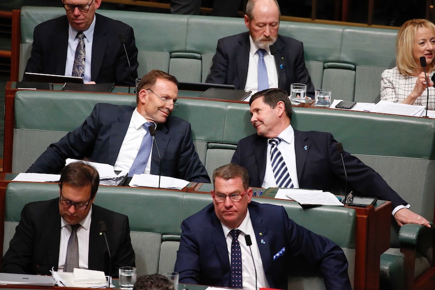 Tony Abbott and Kevin Andrews look into each others eyes on the backbench