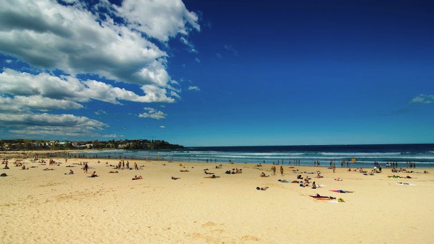 An Australian beach