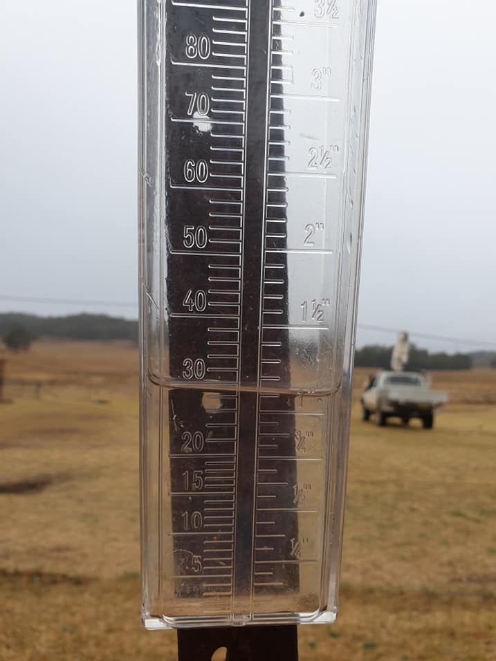 A rain gauge fill with about 30 millimetres
