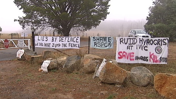 Protesters put up signs and lit a fire at the entrance to the site where the roos are being culled.