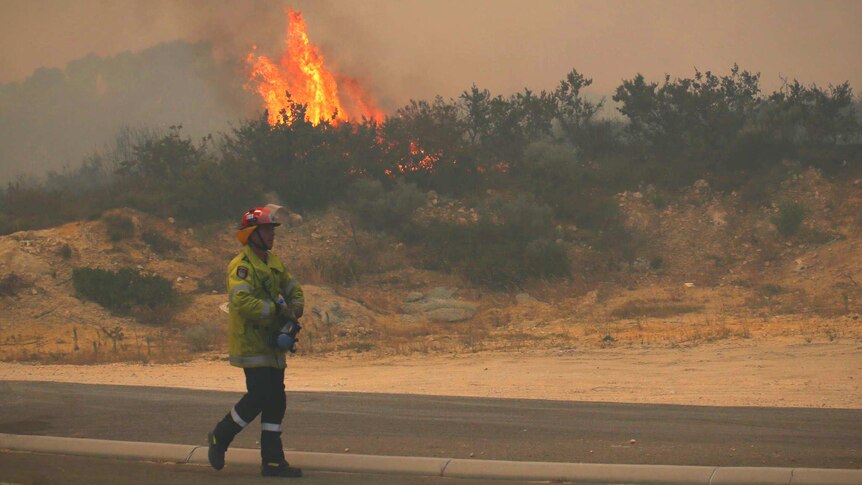 A firefighter walks along a footpath while a fire burns close to him in bushland