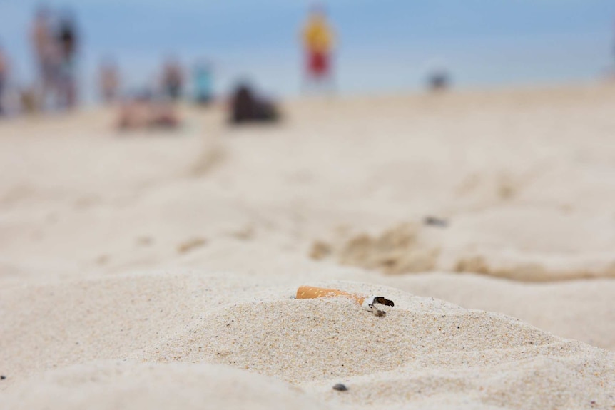 Cigarette butt left on the sand at Bondi Beach
