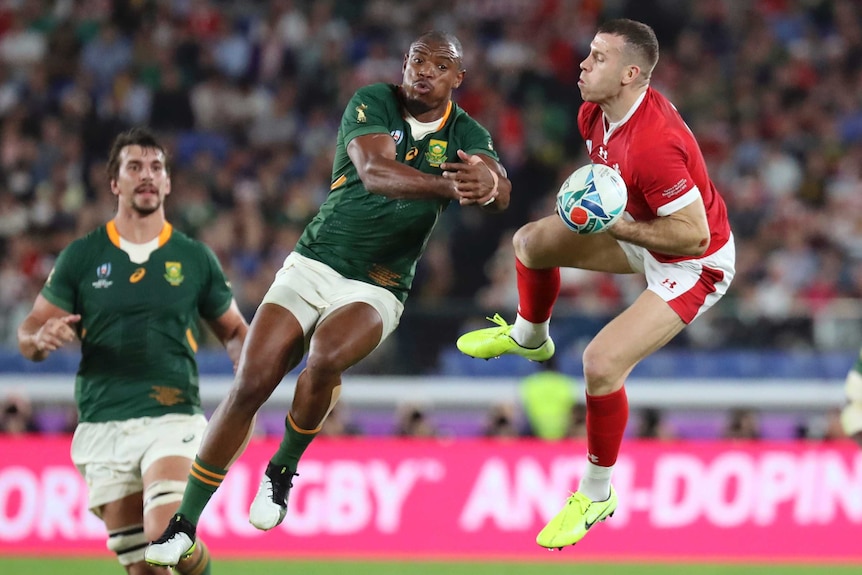 A Wales player and a South Africa opponent jump in the air to contest the ball in their Rugby World Cup semi-final.
