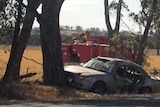 Two wrecked cars beside the road