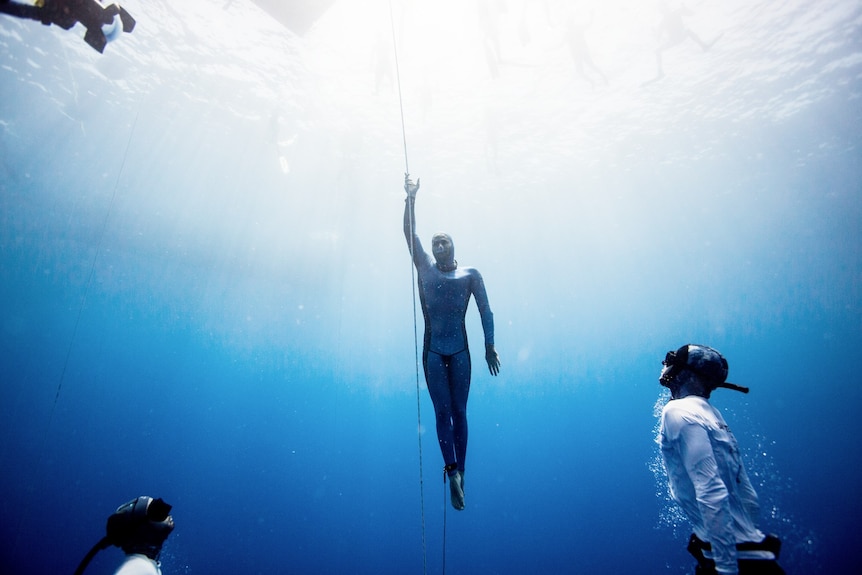 A diver wearing a wetsuit floats to the water's surface, following a submerged line for guidance.