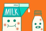 Milk carton and milk bottle characters with pimples to depict whether drinking milk can cause acne.
