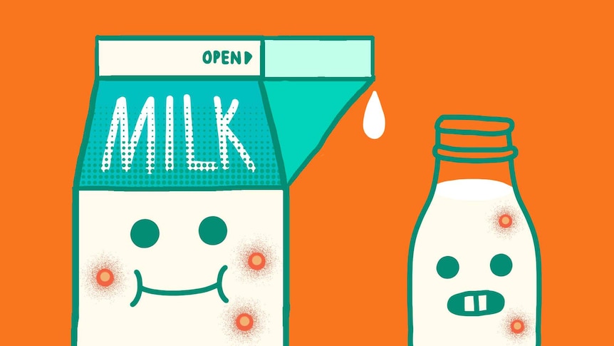 Milk carton and milk bottle characters with pimples to depict whether drinking milk can cause acne.