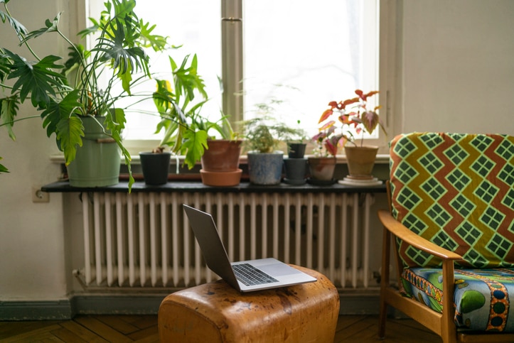 A laptop sits on a foot stool in a lounge room filled with indoor plants.