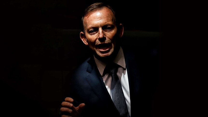 A spotlight on Tony Abbott illuminates his face as he speaks. There are papers and a glass of water on the table below.