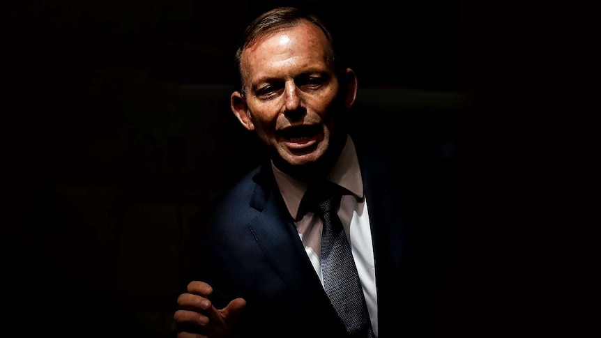 A spotlight on Tony Abbott illuminates his face as he speaks. There are papers and a glass of water on the table below.