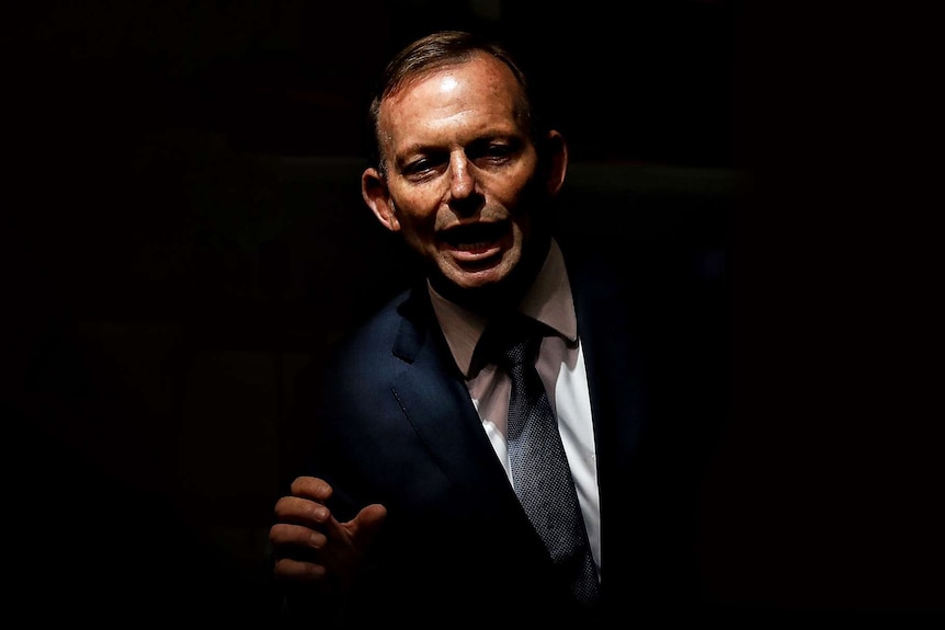 A spotlight on Tony Abbott illuminates his face as he speaks. There are papers and a glass of water on the table below.