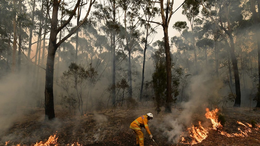 A firefighter uses a shovel to push earth towards a prescribed backburn.