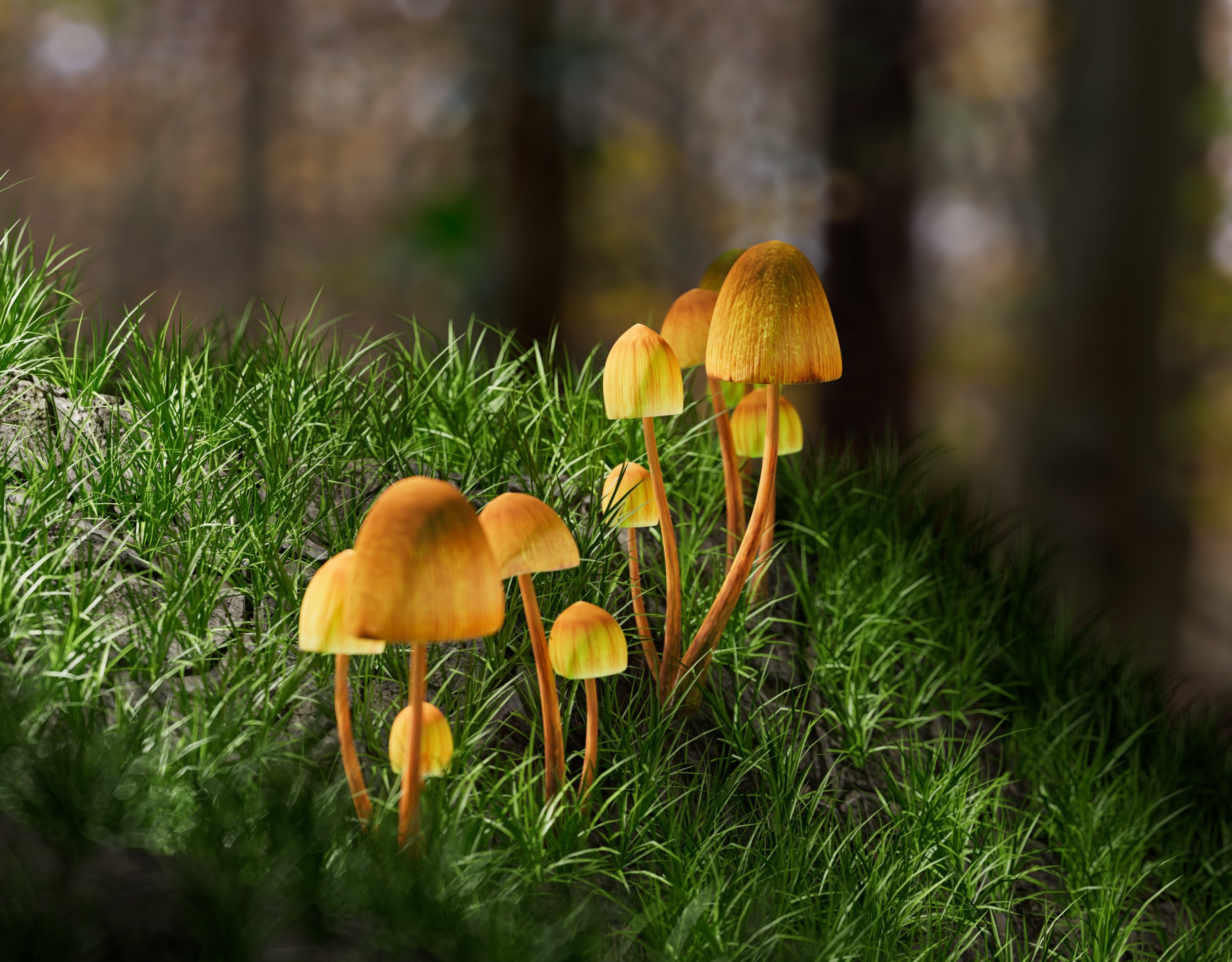 Yellow mushrooms set against bright green grass.