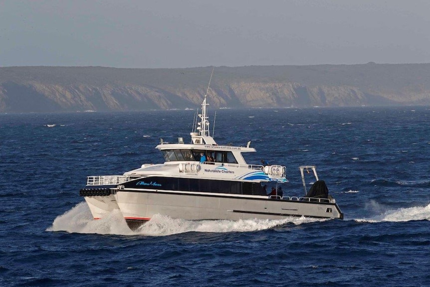 A whale-watching boat in the ocean, with a coastline in view.