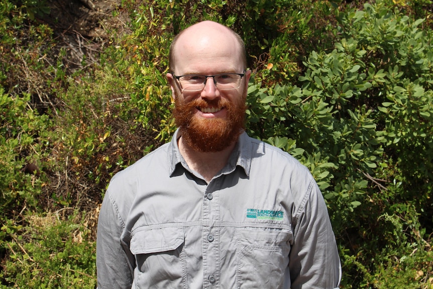 A bald man with a beard smiles at the camera with green bushes behind him