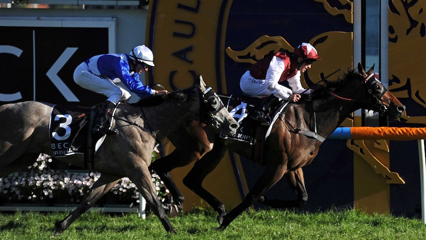 Long John beats Divine Calling to win Caulfield Guineas