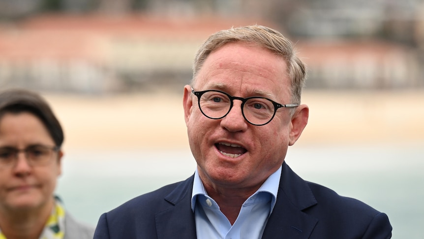 A man in glasses stands in front of microphones, speaking.