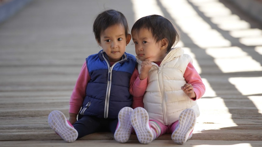 Twin girls sit on a wooden walkway, one pinching the face of the other.