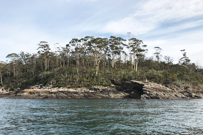 Shoreline at Dover, Port Esperance, southern Tasmania.