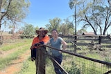 A man and woman stand, smiling, against a gate, with trees behind them.