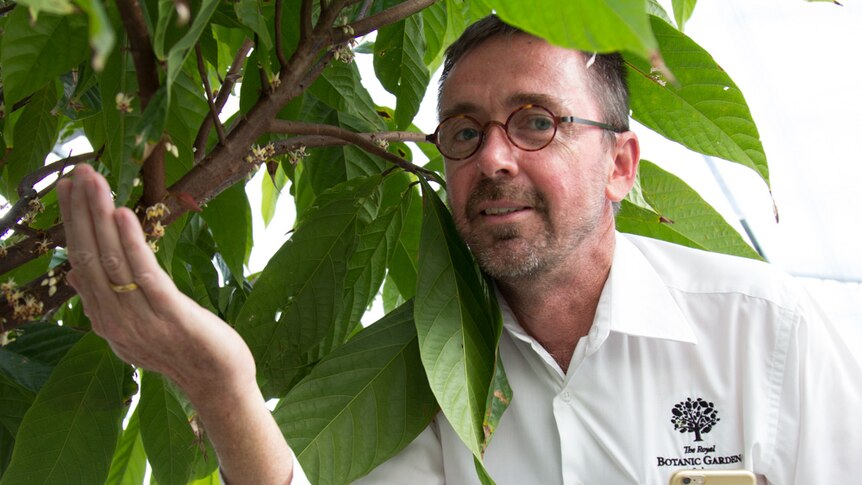 Dr Dale Nixon, Royal Botanic Garden curator