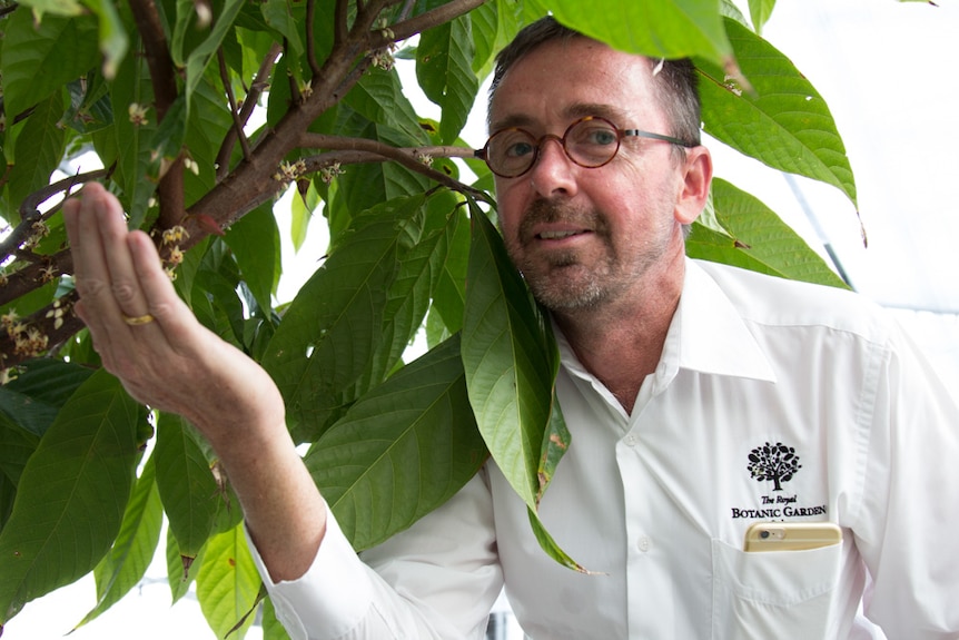 Dr Dale Nixon, Royal Botanic Garden curator