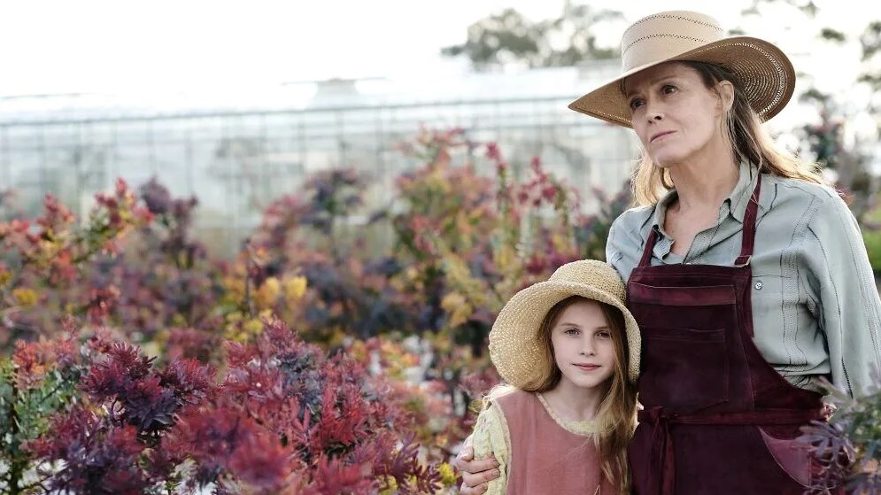 A woman in her 60s holds a girl aged nine. They are standing in a flower farm. 