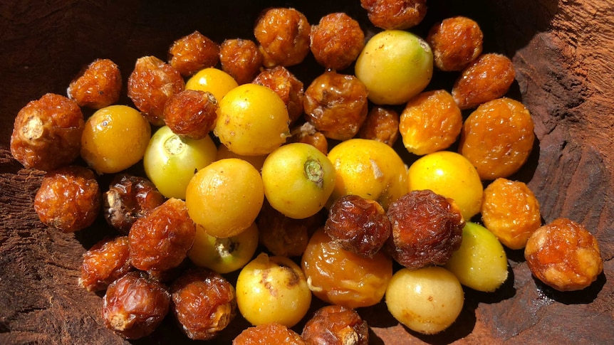 Small native Australian fruits that look very similar to cherry tomatoes.