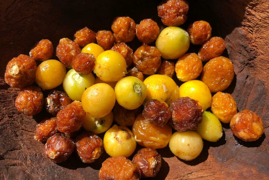 Small native Australian fruits that look very similar to cherry tomatoes.