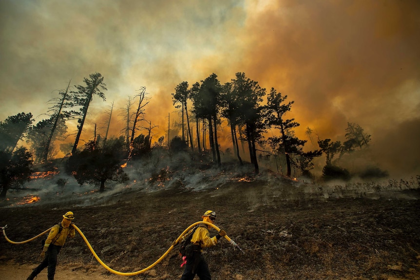 Firefighters light backfires to slow the spread of the Kincade Fire