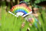 A woman hold a rainbow fan in front of her face.