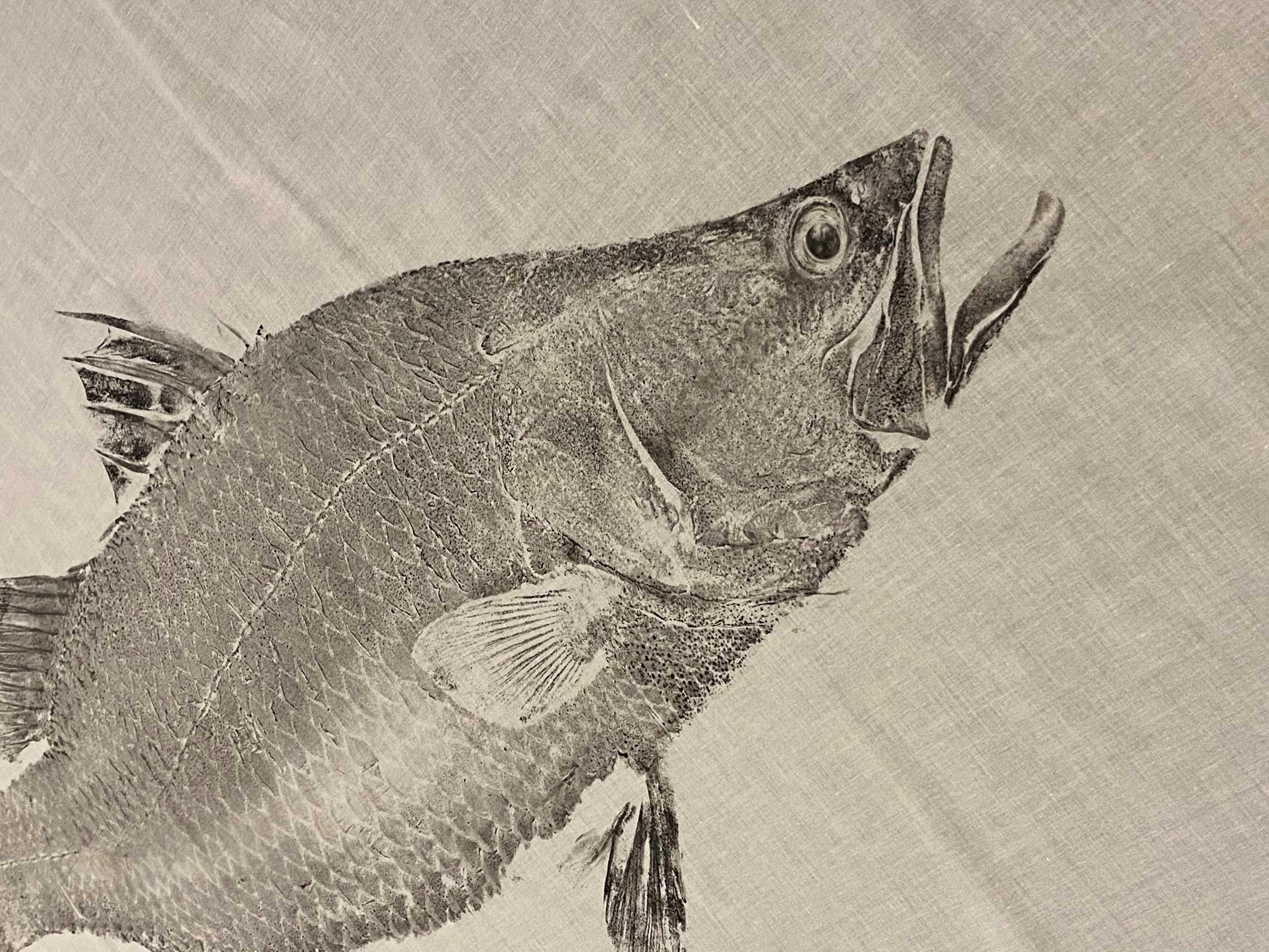 Immortalising your catch with the art of Gyotaku