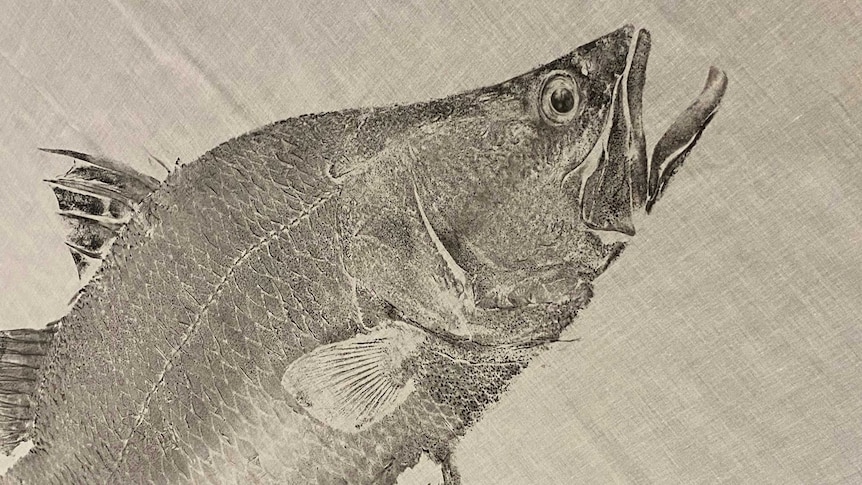 Immortalising your catch with the art of Gyotaku - ABC listen