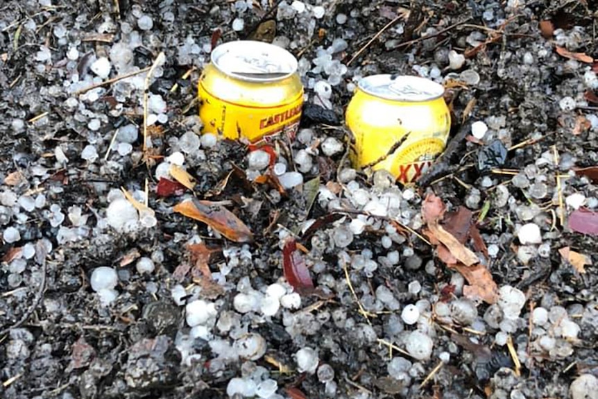 Two cans of beer embedded in hail on the ground