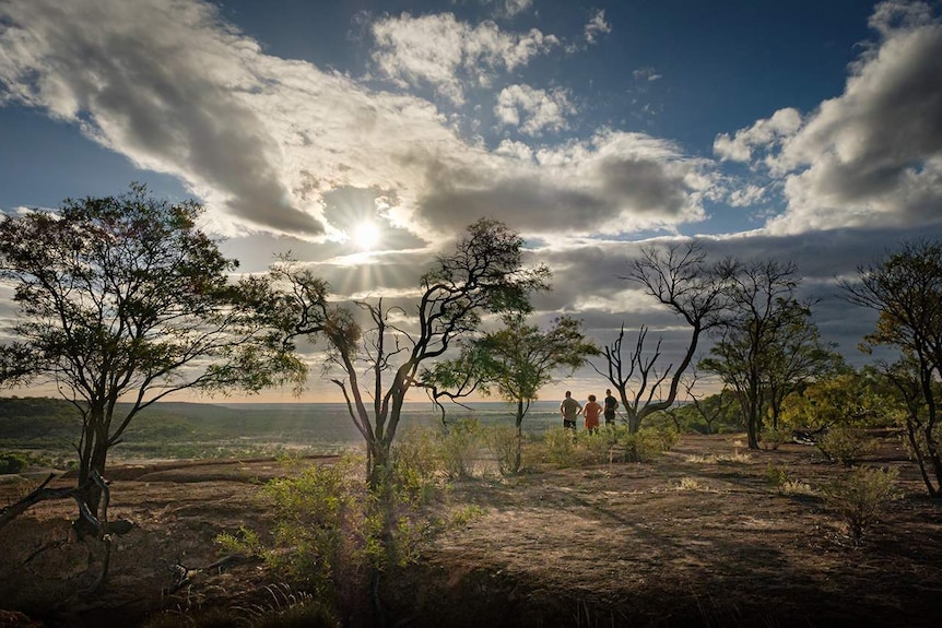 The stars of ABC television series Total Control look out over the Winton landscape